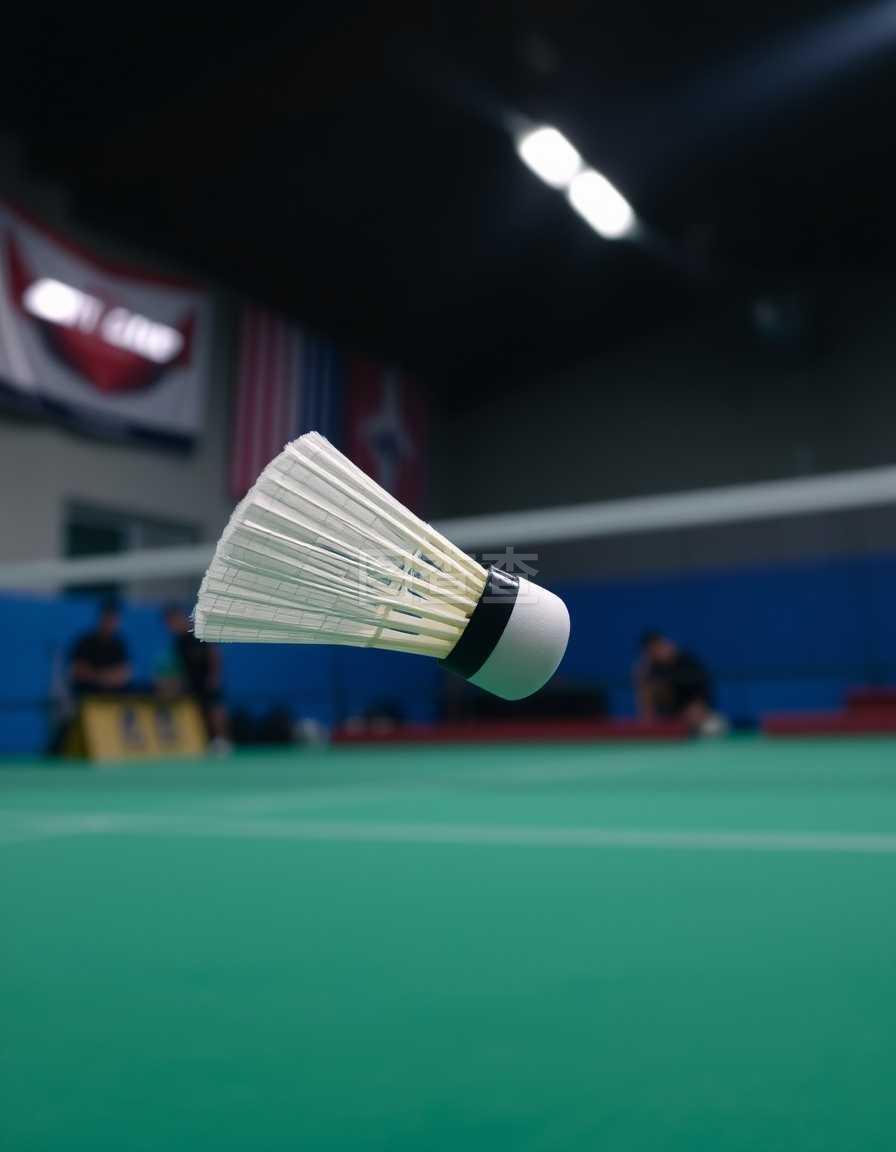 的成功之道 的成功之道