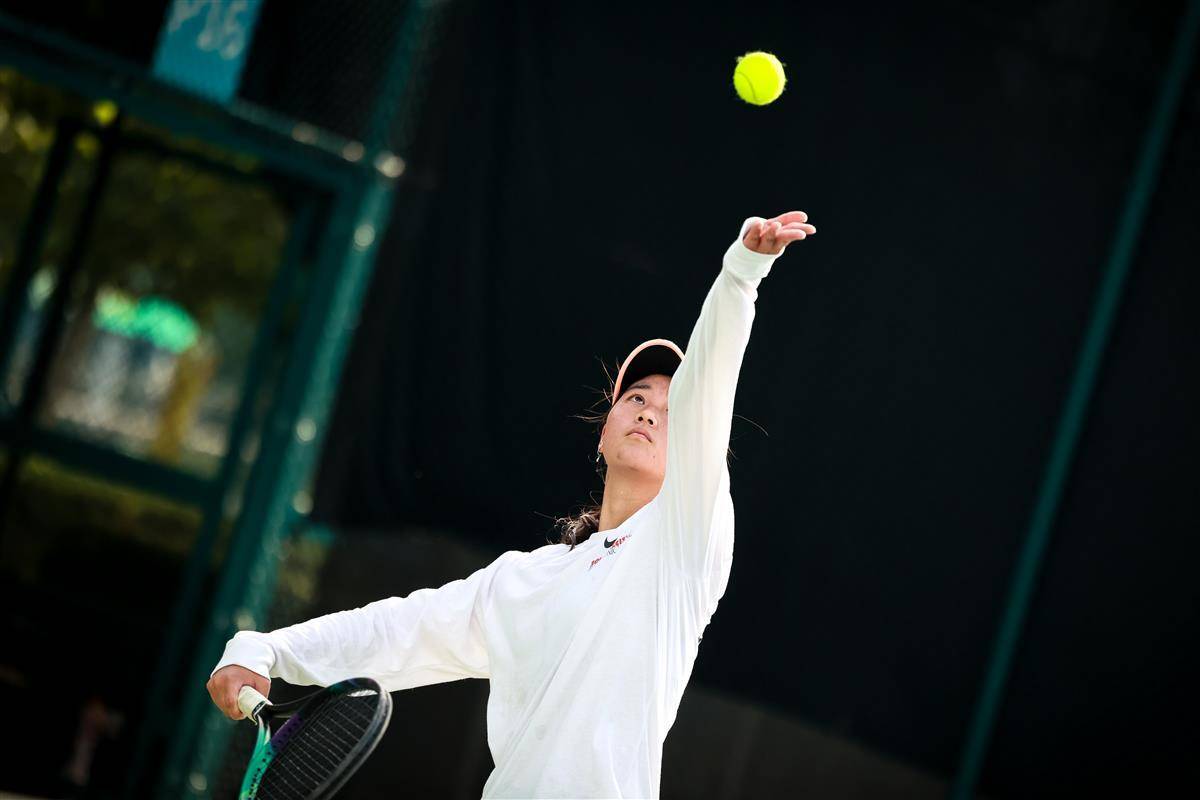 现为业界树 现为业界树