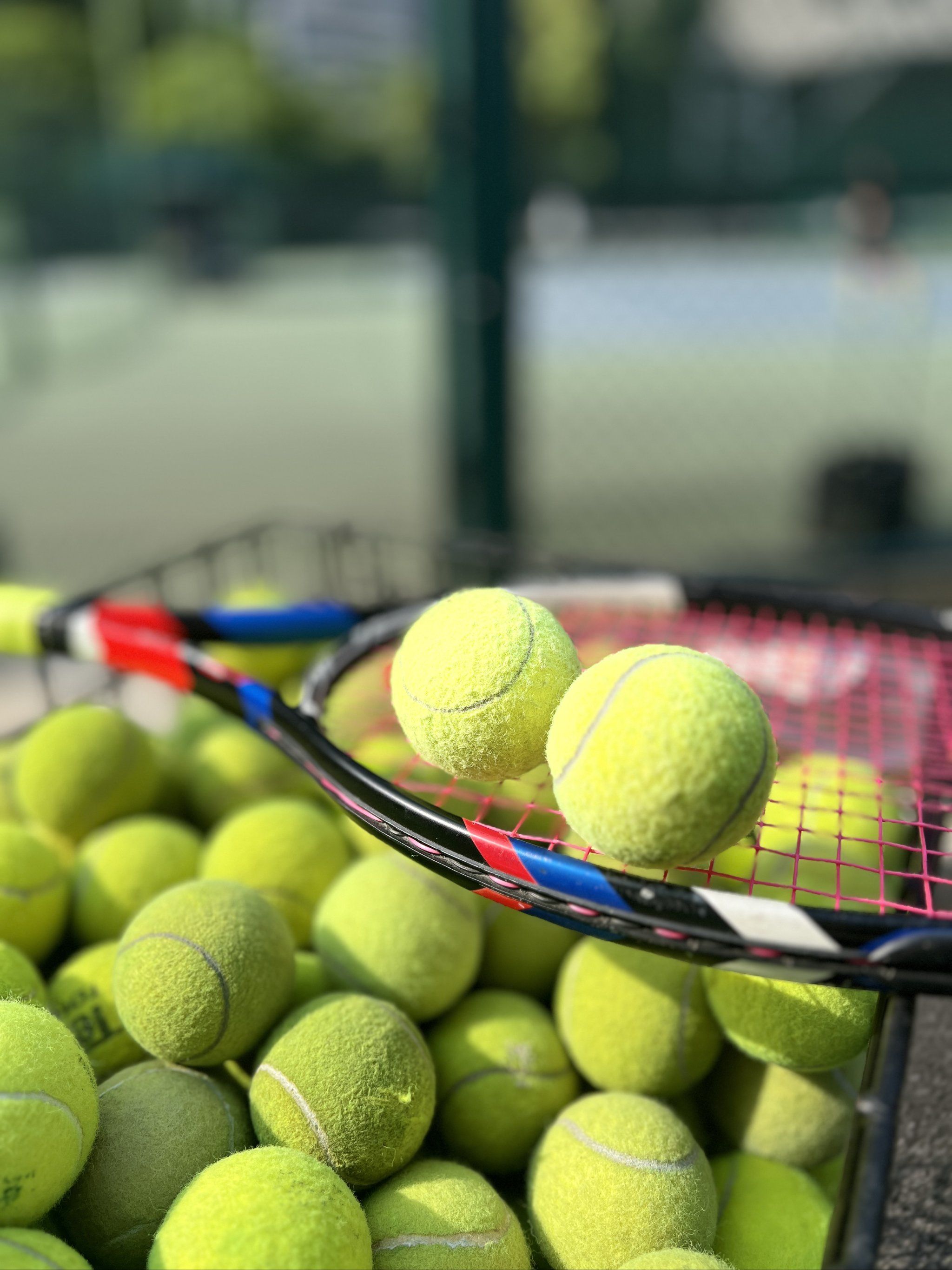 兰队带来了 兰队带来了